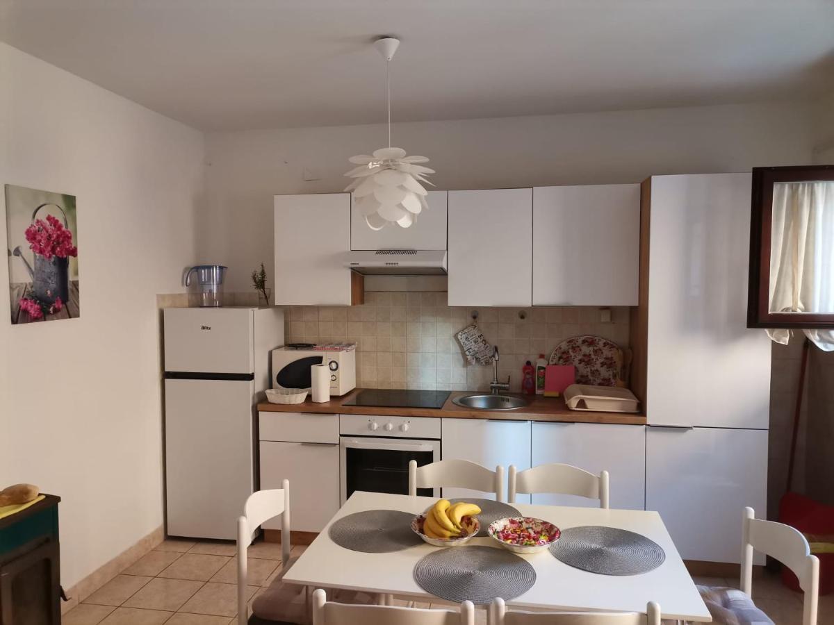 Delfin Apartments Zadar Eksteriør bilde